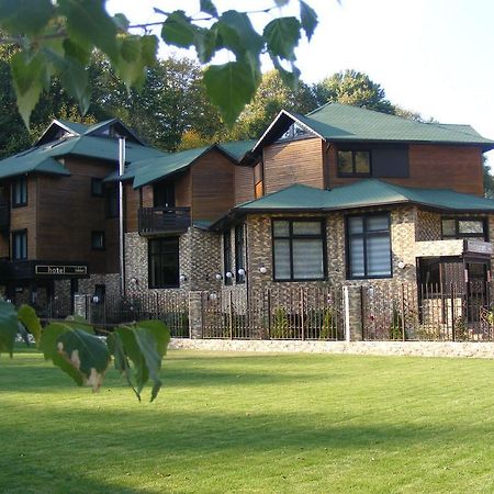 Hotel Hillden Lodge&Restaurant Drumu Carului Exterior foto